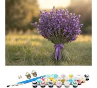 Paint by Numbers Kits Lavender 40x30cm Large Paint by Numbers for Adults Beginner Abstract,DIY Oil Painting Art with Paintbrushes and Acrylic Pigment,Hobbies for Women Adults Crafts Frameless M-1441