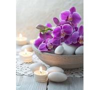 Paint by Numbers Kits Orchid 40x50cm Large Paint by Numbers for Adults or Beginner Zen,DIY Oil Painting Art with Paintbrushes and Acrylic Pigment,Hobbies for Women Adults Crafts Without Frame E1-1101