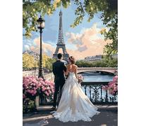 Paint by Numbers Kits Paris 20x30cm Large Paint by Numbers for Adults or Beginner Couple,DIY Oil Painting Art with Paintbrushes and Acrylic Pigment,Hobbies for Women Adults Crafts Without Frame E1-729
