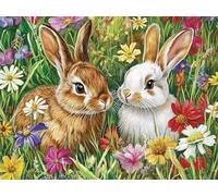 Paint by Numbers Kits Rabbit 20x30cm Large Paint by Numbers for Adults or Beginner Flower,DIY Oil Painting Art with Paintbrushes and Acrylic Pigment,Hobbies for Women Adults Crafts Frameless E1-1143