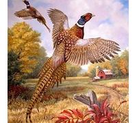 Paint by Numbers Kits Ring-Necked Pheasant Country Landscape Paint by Numbers for Adults and Kids DIY Oil Painting Gift Kits
