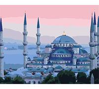 Paint by Numbers Kits Turkey Paint by Numbers for Adults,40cm x 50cm Canvas DIY Acrylic Painting Kit for Beginners, Drawing Paintwork with Paintbrushes Pigment（Without Frame）