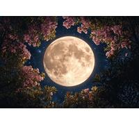 Paint by Numbers Moon DIY Painting On Canvas, Paintwork with Paintbrushes Acrylic Paints, Perfect for Paint by Numbers for Adults and Beginner for Gifts Home Wall Decor 24x36Inch (Frameless) v-1039