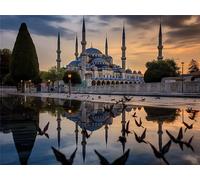 Paint by Numbers Mosque 50x65cm Paint by Numbers for Kids Beginners DIY Crafts for Adults Art Painting Kit Acrylic Pigment Drawing Paintwork Paint by Numbers Kit for Home Decor (Without Frame) E-375
