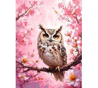Paint by Numbers Owl Paint by Numbers for Adults Flower Painting by Numbers for Kids, DlY Craft Kits Paint by Numbers with Paint Brushes Acrylic Paintwork Canvas Art, Gifts for Women 20 x 30 cm H-491