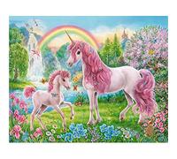 Paint by Numbers Rainbow Unicorn Flower,DIY Paint by Numbers Kits for Adults Kids,Canvas Oil Painting by Numbers with Brushes Acrylic Pigment Arts Craft for Home Wall Decoration 20x26in Without Frame