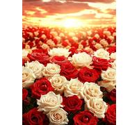 Paint by Numbers Rose Painting by Numbers for Adults with Frame, Paint by Number for Children Beginners, DIY Acrylic Pigment Drawing Paintwork Arts and Crafts for Room Decor, Gifts 40x60cm J8-248