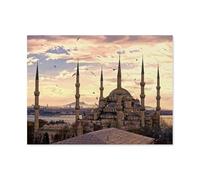 Paint by Numbers，Turkey Istanbul，Landscape Kit for Adults Beginner DIY Oil Painting(30x40cm) 11.8x15.7 inches-D62