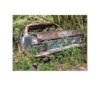 Paint by NumbersVintage Car, Rust Eats Away at Them and They Are Gradually Being Reclaimed by Nature,with Brushes and Acrylic Pigment DIY Digital Canvas Painting for Adults Beginner(50x60cm)-AD39