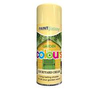 Paint Factory 2555 Paint Spray