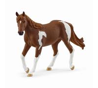 Paint Horse mare - 14901