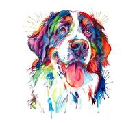 Paint Number Kits Bernese Mountain Dog Paint by Numbers DIY Oil Painting Canvas Print Wall Art Home Decoration