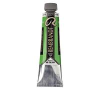Rembrandt Paint Oil PERM GR LT, Permanent Green Light, One Size