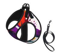 Paint Splatter Print Pet Leash Vest,For Small Dogs,Adjustable And Comfortable Cat Puppy Essentials