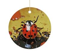 Paint Spotted Ladybug Double-Sided Ceramic Christmas Ornaments - Round Hanging Mini Xmas Tree Decorations, Ideas for Farmers, Rustic Home Decor for Indoor Outdoor Tree Decor