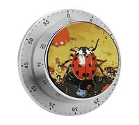 Paint Spotted Ladybug Kitchen Timer 60 Minute Visual Wind Up Timers Indoor Mechanical Timers with Magnetic Base Stainless Steel Timer for Home Cooking Time Management Tool