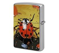 Paint Spotted Ladybug Metal Lighter Case Cover, Personalized Graffiti Lighter Sleeve, Waterproof Double-Sided Protector for Women Men Gifts