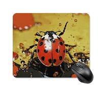 Paint Spotted Ladybug Mouse Pad Square Laptop Mouse Mat Cute Computer Mousepad Keyboard Pad Non-Slip Desk Pads for Gaming Office Work Home 25 * 30cm