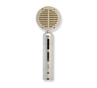 PAINTAUDIO Paint Audio Large Diaphragm Condenser Microphone PM98 for Pro Recording, Streaming, Podcasting, Gaming, with Two Level gain and Low Cut Switch, Warm Vintage (PM98-Silver)