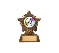 Paintball Trophy Award Premier Star Antique Gold 150mm Heavy Resin Paintballing Free Engraving -troshow2-AA