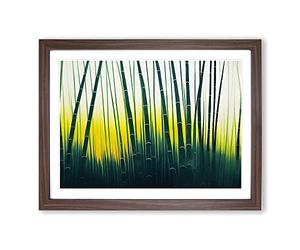 Painted Bamboo Forest Framed Wall Art Print A2 Walnut