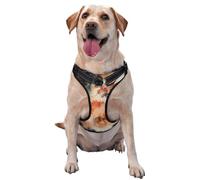 Painted Chinese Loong Dog Harness For Small, Medium, And Large Dogs – Reflective Straps, Adjustable Fit With Quick-Release Buckles