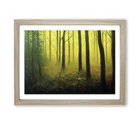 Painted Forest Vol.1 Framed Print | A2 Oak Framed Wall Art | Ready to Hang | Modern Landscape Picture | Living Room Bedroom Lounge Office