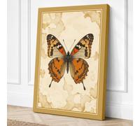 Painted Lady Study Botanical Canvas Wall Art Print 24x16 Inch (61 x 41 cm)