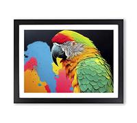 Painted Parrot Vol.3 H1022 Framed Print for Living Room Bedroom Home Office Décor, Wall Art Picture Ready to Hang, Black A2 Frame (64 x 46 cm)