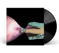 Painted Shield - Painted Shield 2 [VINYL]