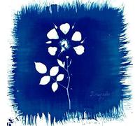 Painted Zeros - Floriography [VINYL]