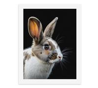 Painting by Number Kits - 40x30cm ，DIY Canvas Oil Painting Kit for Adults，A Cute Rabbit with Striking Eyes.