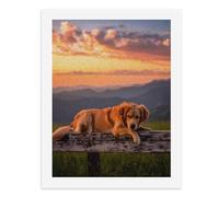 Painting by Number Kits - 40x30cm ，DIY Canvas Oil Painting Kit for Adults，A Golden Retriever Resting on an Old Wooden Fence Against A Sunset Backdrop.