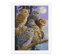 Painting by Number Kits - 40x30cm ，DIY Canvas Oil Painting Kit for Adults，A Group of Wise Owls Perched Under The Moonlit Sky.