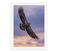 Painting by Number Kits - 40x30cm ，DIY Canvas Oil Painting Kit for Adults，A Majestic Eagle Soars Gracefully Against A Twilight Sky.