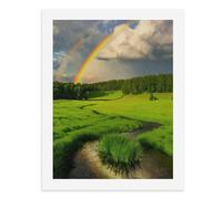 Painting by Number Kits - 40x30cm ，DIY Canvas Oil Painting Kit for Adults，A Rainbow Graces Over Lush Green Fields.