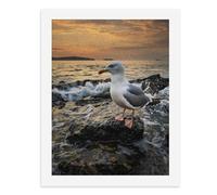 Painting by Number Kits - 40x30cm ，DIY Canvas Oil Painting Kit for Adults，A Seagull Perches on Rocky Shores As Waves Crash in The Background.