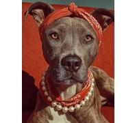 Painting by Numbers for Adults Dog Paint by Numbers Kits Animal, Retro DIY Canvas Oil Paintings Kits Hobbies for Adults Crafts with Accessories for Home Wall Decor, Gifts 20x32in Without Frame 4-4V67