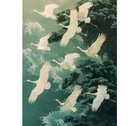 Painting by Numbers for Adults Eagle Paint by Numbers Kits Animal, DIY Hobbies for Adults Crafts for Beginners Canvas Oil Paintings Kits with Accessories for Home Wall DecorWith Frame 60x80cm F-0Y31