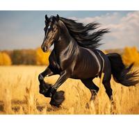 Painting by Numbers for Adults, Horse Paint by Numbers Kits for Adults Black Pattern Design, Oil Paintings Kit for Kids with Paintbrushes and Acrylic, Home Wall Decor, Without Frame 70x50cm, Model 33