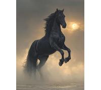Painting by Numbers for Adults Horse Paint by Numbers Kits Moon, Retro DIY Canvas Oil Paintings Kits Hobbies for Adults Crafts with Accessories for Home Wall Decor, Gifts 16x24in Without Frame O-0W89