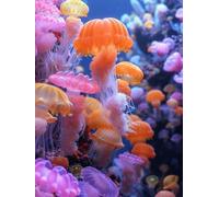 Painting by Numbers for Adults Jellyfish Paint by Numbers Kits Ocean, DIY Canvas Oil Paintings Kits Hobbies for Adults Crafts with Accessories for Home Wall Decor, Gifts 32x47in Without Frame H-CG61
