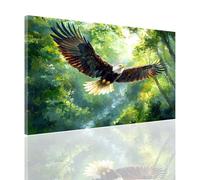 Painting by Numbers for Adults Landscape Paint by Numbers Kits, Adult Paint by Number Eagle DIY Kids Beginner Number Painting with Brushes and Acrylic Canvas Kits for Decor Gift 20x28 in 2y-765