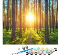 Painting by Numbers for Adults Landscape Pattern, Nature Paint by Numbers Canvas Kits Without Frame, DIY Color Acrylic Paintings with Brushes and Acrylic Paint, Home Decor, Gifts, 28x40INCH, Model24