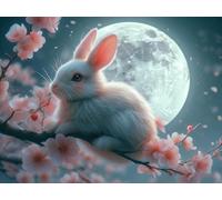 Painting by Numbers Moon Rabbit Paint by Numbers for Adults Children Beginners, DIY Craft Art Painting Kit,Color Oil Acrylic Pigment Drawing Paintwork for Gifts Home Decor 8x12in (Without Frame) q-486
