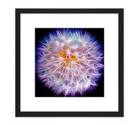 Painting Digital Neon Dandelion Head 8X8 Inch Square Wooden Framed Wall Art Print Picture with Mount Artery8 Black One Size