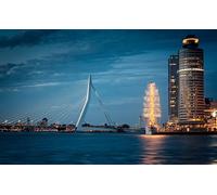 Painting Erasmus Bridge Meuse River Netherlands Colour Talk Painting by Numbers DIY Unique Canvas Oil Painting Kit Digital Painting