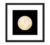 Painting Hilma Af Klint 1915 No 14 Swan 8X8 Inch Square Wooden Framed Wall Art Print Picture with Mount Artery8 Black One Size
