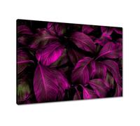 Painting printed on canvas Wall Art Decor 70x50cm Beautiful fuchsia leaves No. H10693M_PC1G