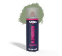 PaintNuts Aluminium Window & Door Paint - RAL-6021 - PALE GREEN Matt 400ml Spray Can